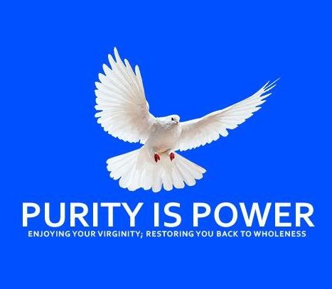 Purity is Power Curriculum